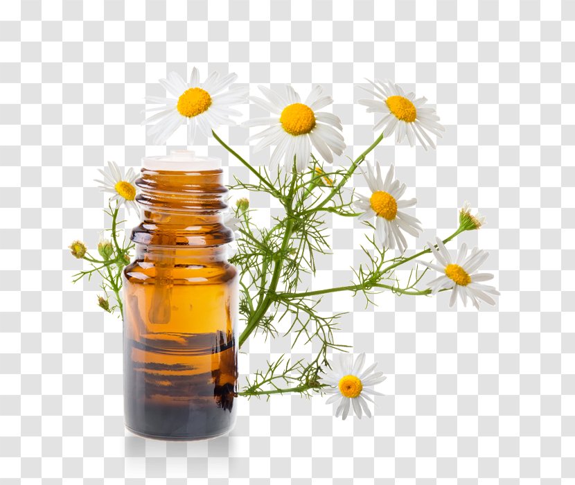 Essential Oil Roman Chamomile Vegetable Bottle - Bergamot Orange - Romaine Transparent PNG