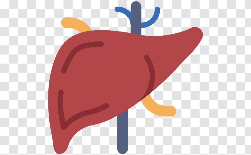 Clip Art Medicine Vector Graphics - Cartoon - Transparent Liver Transparent PNG
