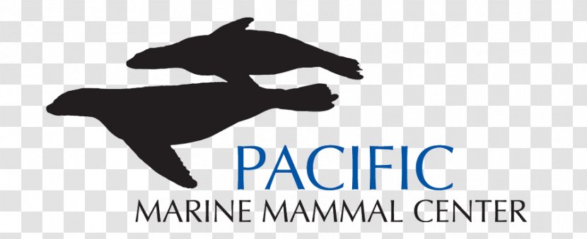 Pacific Marine Mammal Center The Sea Lion - Nonprofit Organisation - Text Transparent PNG