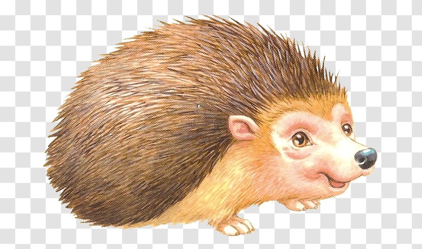 Domesticated Hedgehog European Clip Art - Diary Transparent PNG