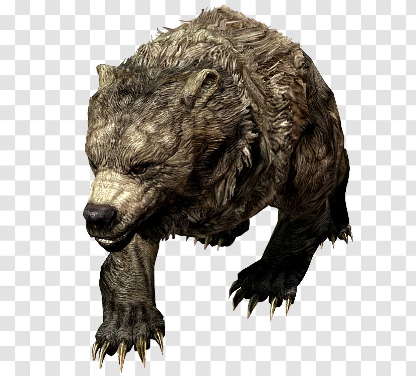 Grizzly Bear Cave The Elder Scrolls V: Skyrim – Dragonborn - Video - Pjs Transparent PNG