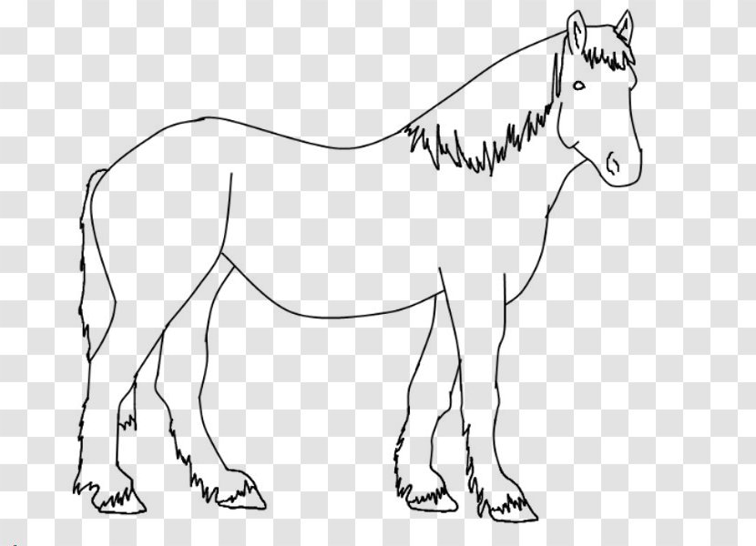 Mule Foal Stallion Bridle Colt - Black And White - Mustang Transparent PNG