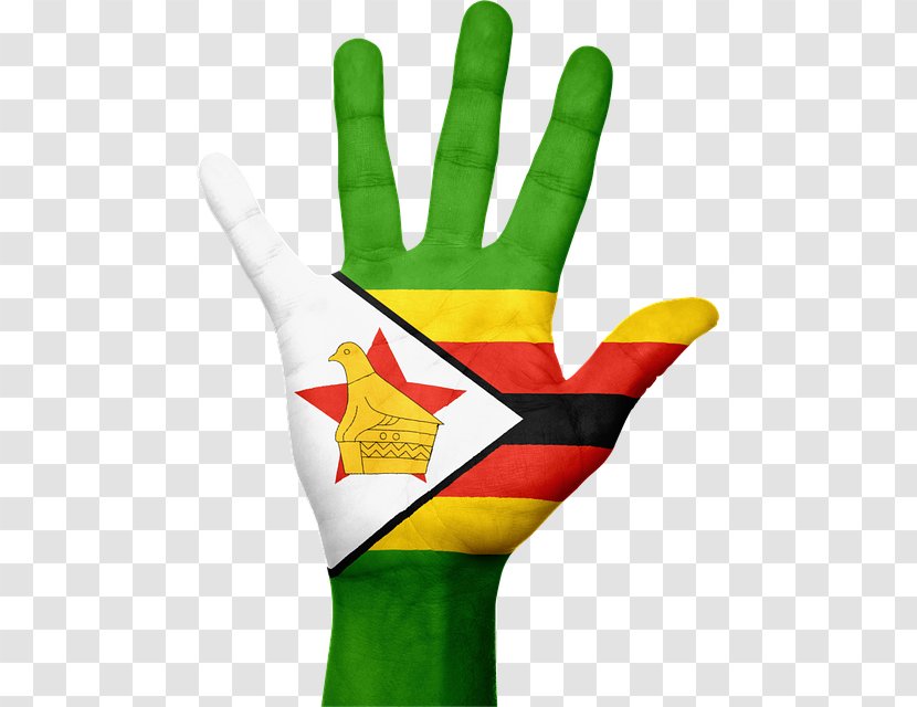 Great Zimbabwe Flag Of National - Stock Photography Transparent PNG