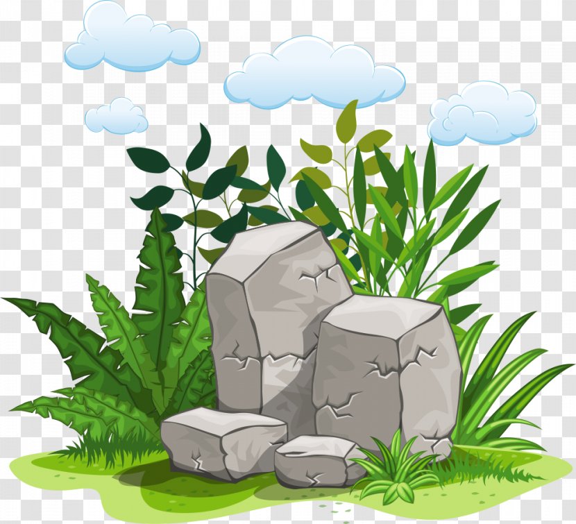 Rock Illustration - Herb - Vector Grass Stone Transparent PNG
