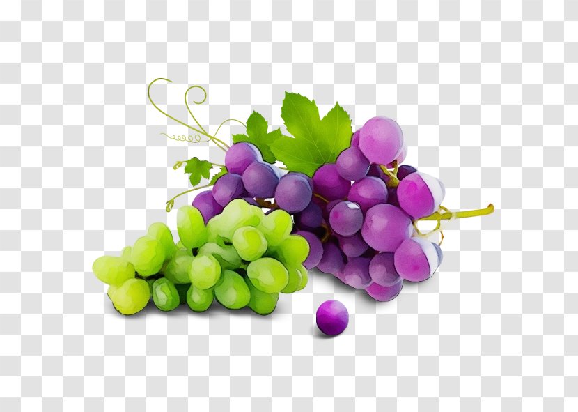 Grape Seedless Fruit Grapevine Family Vitis - Seed Extract Sultana Transparent PNG