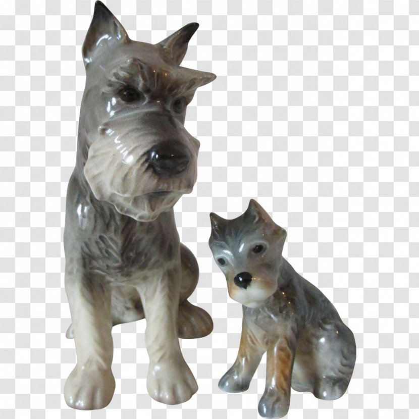 Miniature Schnauzer Scottish Terrier Cairn Standard Giant - Porcelain - Puppy Transparent PNG