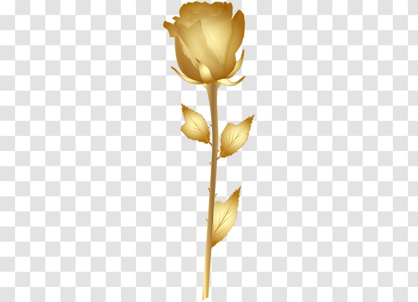 Rose Gold Clip Art - Plant Transparent PNG