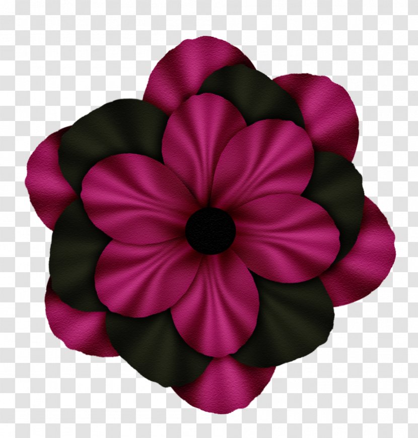 Petal Cut Flowers Magenta Flowering Plant Transparent PNG