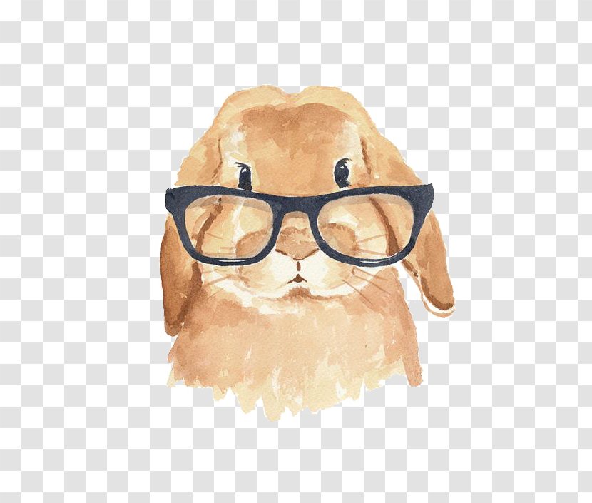 Holland Lop The Rhyming Rabbit Hipster - Vision Care Transparent PNG