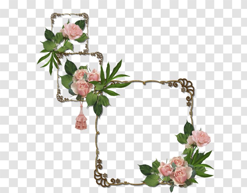 Picture Frame Flower Clip Art - Petal - Mood Transparent PNG