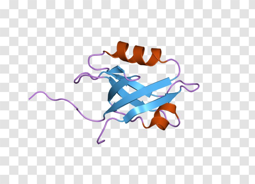 Sodium-hydrogen Antiporter 3 Regulator 1 Sodium–hydrogen Clip Art - Tree - Silhouette Transparent PNG