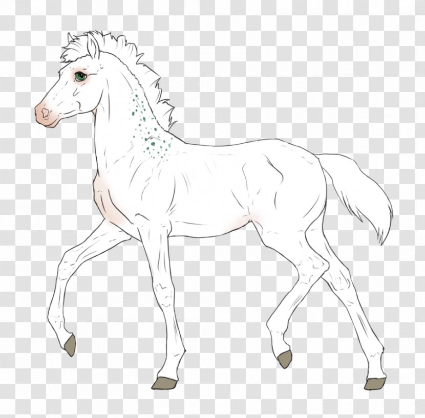 Foal Mustang Colt Stallion Mare - Mammal Transparent PNG