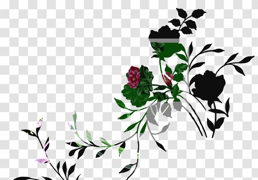 Floral Design Clip Art Image Moutan Peony - Plant Transparent PNG