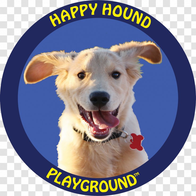 Dog Breed Puppy Pet Sitting Sporting Group - Photo Caption Transparent PNG