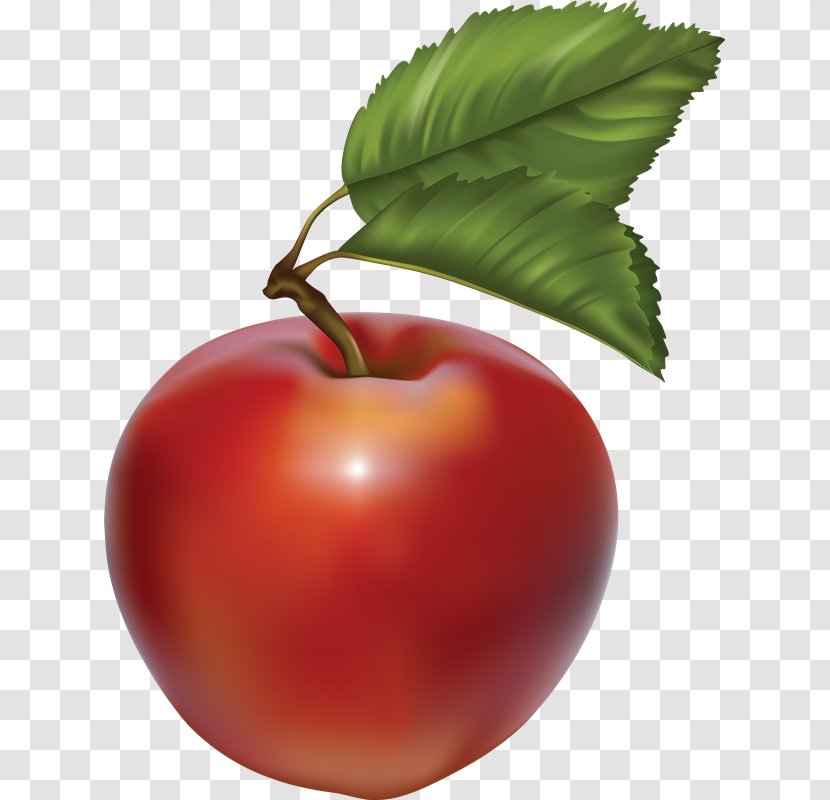 Apple Cider Clip Art - Nightshade Family Transparent PNG