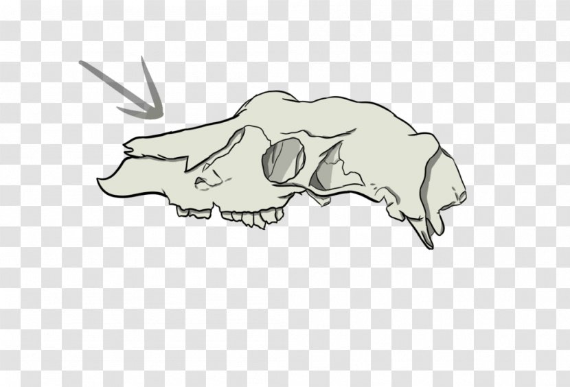 Canidae Cattle Pig Drawing Clip Art Transparent PNG