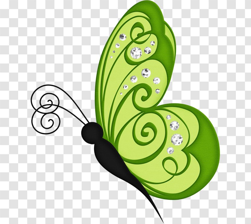 Butterfly Green Clip Art - Organism Transparent PNG