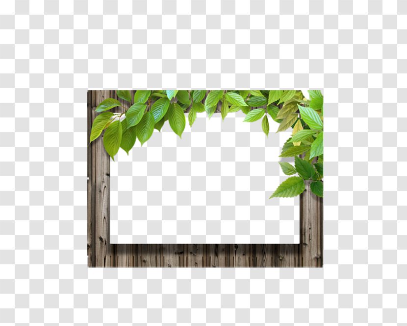 Picture Frame Leaf Wood - Leaves With Transparent PNG