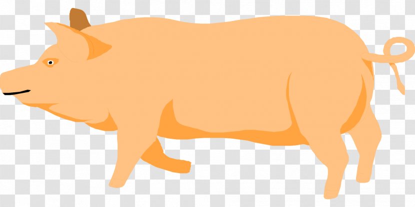 Pig Clip Art - Wildlife Transparent PNG