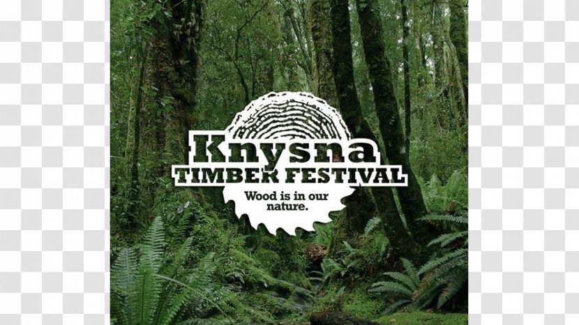 Timber Village Knysna Plett Herald Festival Biome Nature Reserve - News Transparent PNG