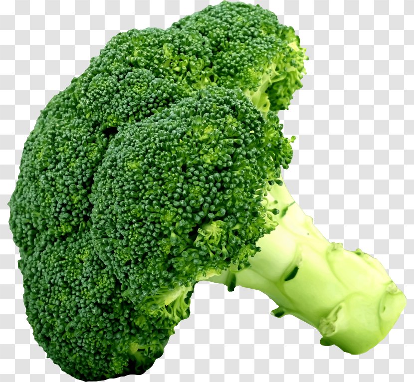 Broccoli Organic Food Vegetable Cabbage Cauliflower - Stilton Cheese Transparent PNG