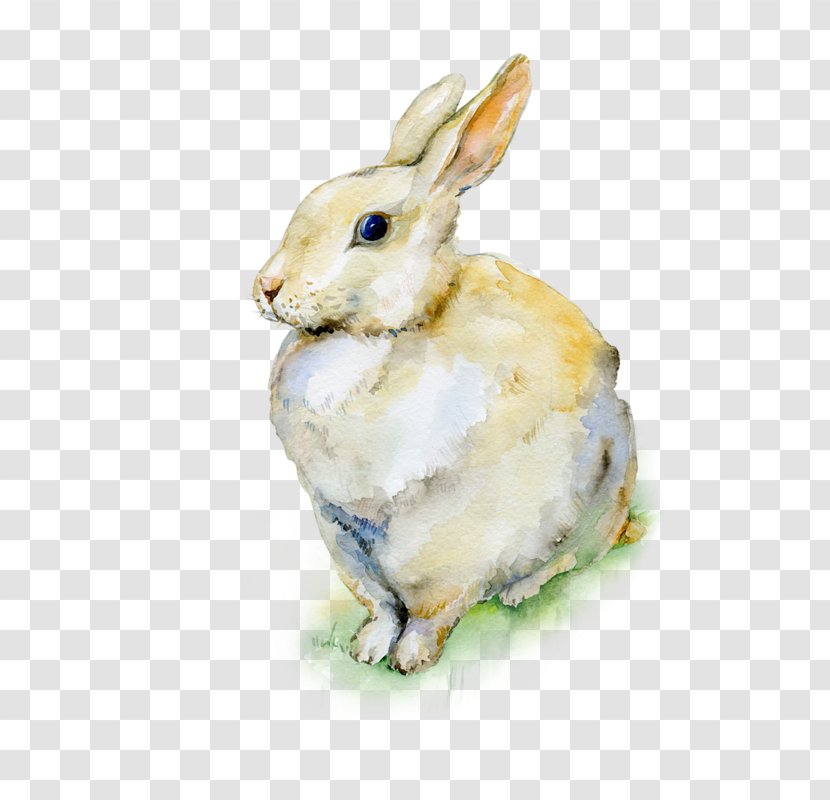 Holland Lop Easter Bunny Watercolor Painting Rabbit - Drawing Transparent PNG