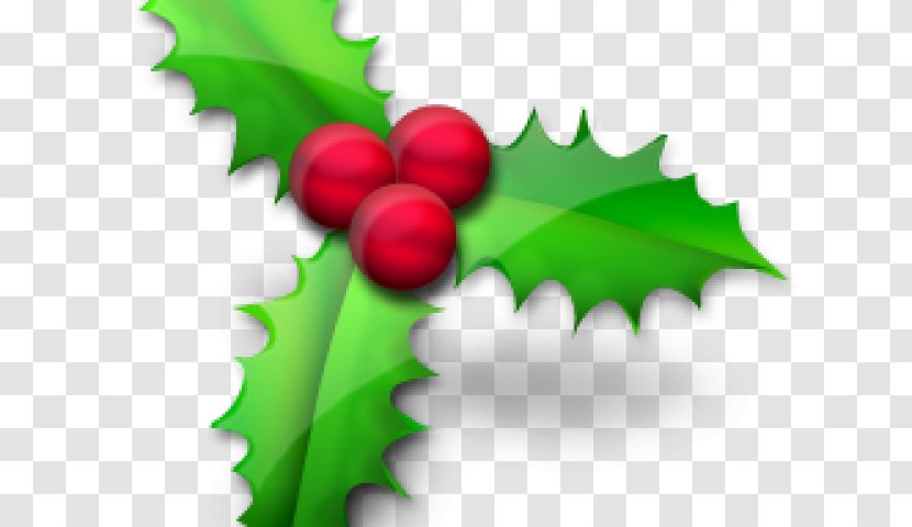 Christmas Day Santa Claus Vector Graphics Common Holly - Flower Transparent PNG