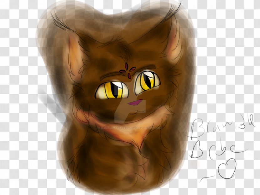 Whiskers Kitten Cat Snout Ear Transparent PNG