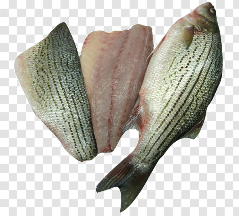 Striped Bass Fish Products Tilapia - Cod - FISH BASS Transparent PNG