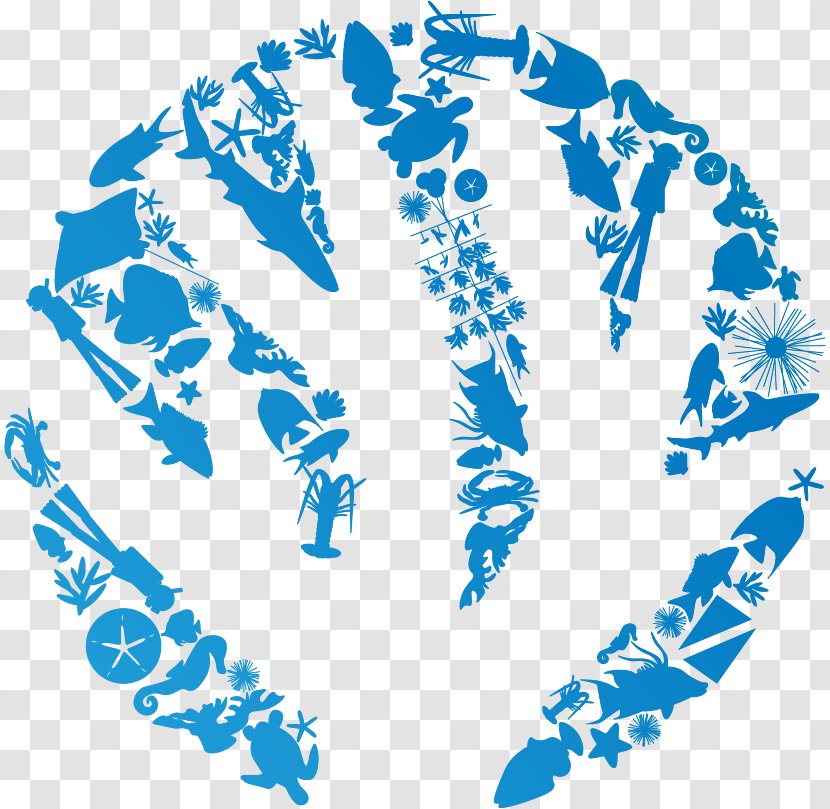 World Oceans Day Coral Reef Festival Transparent PNG