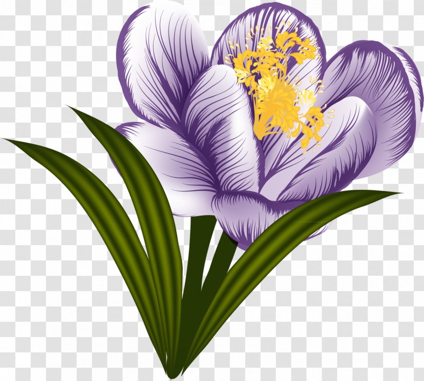 Garden Clip Art - Violet - Flower Transparent PNG