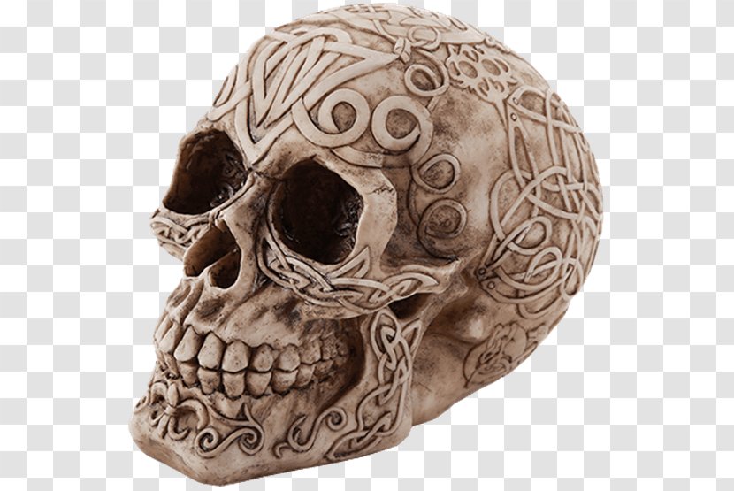 Skull Human Skeleton Figurine Horn Transparent PNG