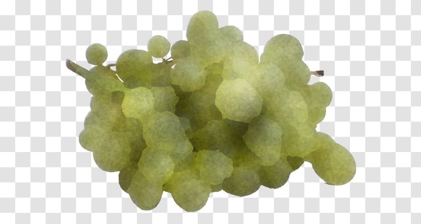 Grape Grapevine Family Seedless Fruit Sultana Vitis - Plant - Flower Food Transparent PNG