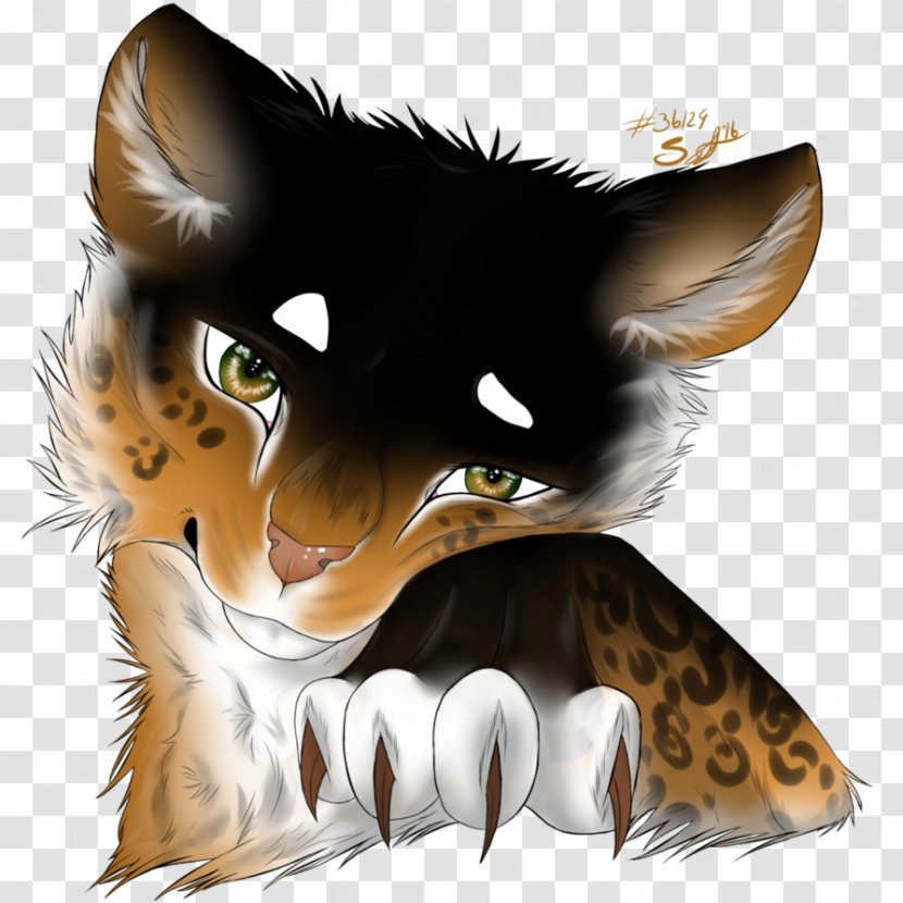 Whiskers Kitten Cat Paw - Divergent Halo Transparent PNG