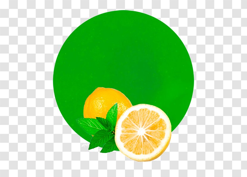 Green Leaf Background - Lemonconcentrate - Seedless Fruit Mandarin Orange Transparent PNG