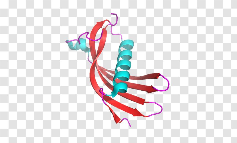 Hereditary Cystatin C Amyloid Angiopathy Protein Disease - Frame - Silhouette Transparent PNG