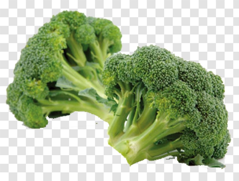 Broccoli Eating Vegetable Sulforaphane Chinese Cabbage - Green Cauliflower Transparent PNG