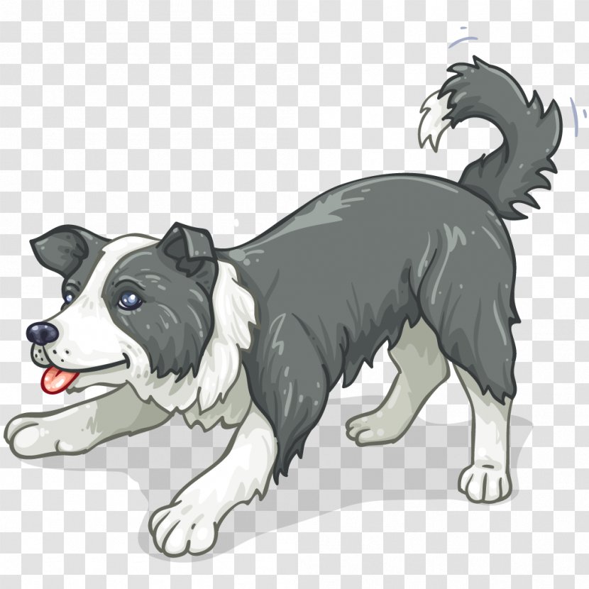 Dog Breed Border Collie Cat Rough - Like Mammal Transparent PNG