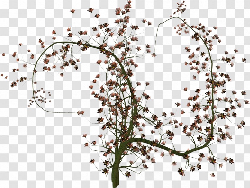 Twig Tree Painting Plants - Flower - Bomen Silhouette Transparent PNG
