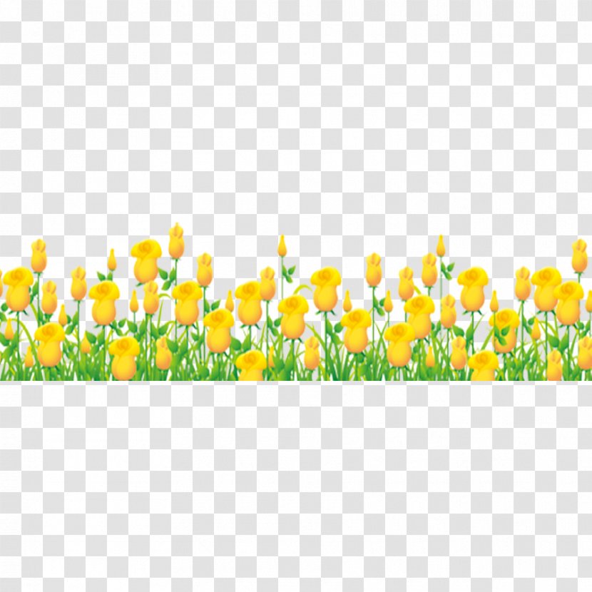 Tulip Flower Bouquet Download - Flowering Plant - Yellow Tulips Transparent PNG