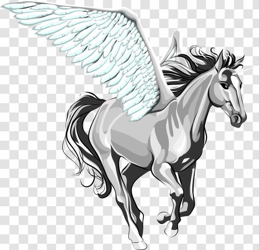 Horse Pony Afghan Crochet Rearing - Unicorn - Flying Pegasus Transparent PNG