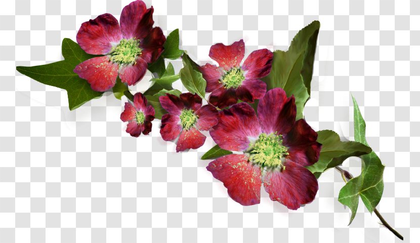 Nosegay Cut Flowers Flower Bouquet - Plant - Autumn-flowers Transparent PNG