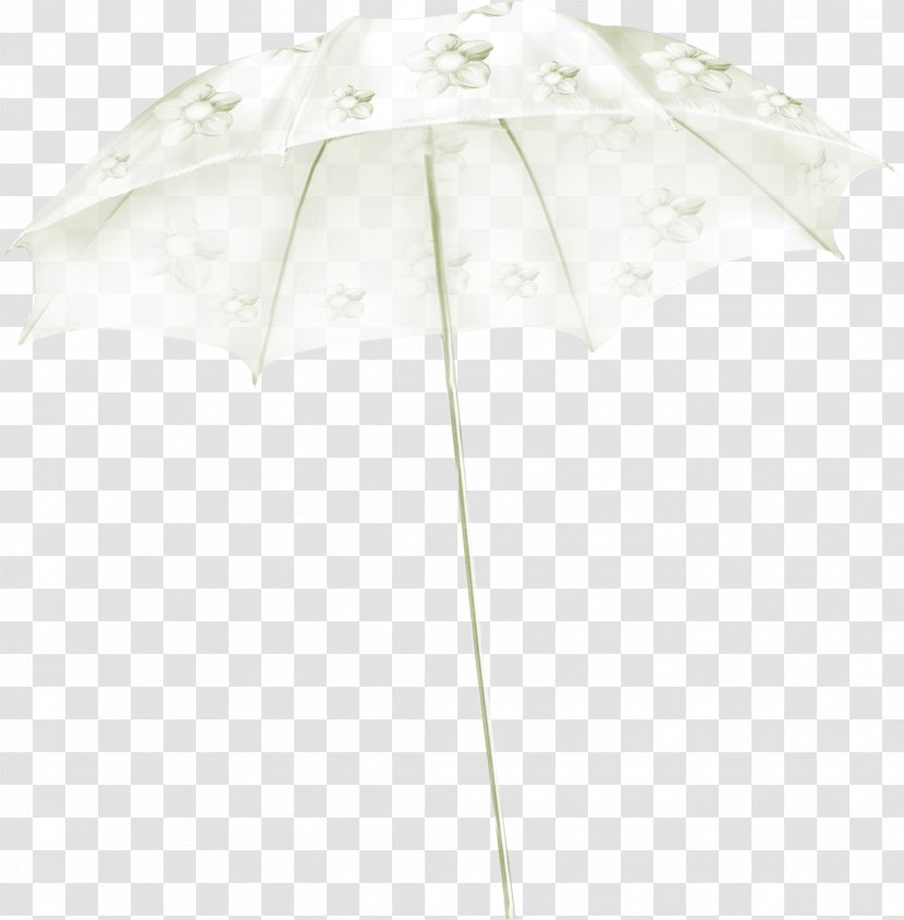 Linens Textile Natural History Pattern - Material - White Parasol Map Transparent PNG