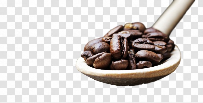 Chocolate - Bean Java Coffee Transparent PNG