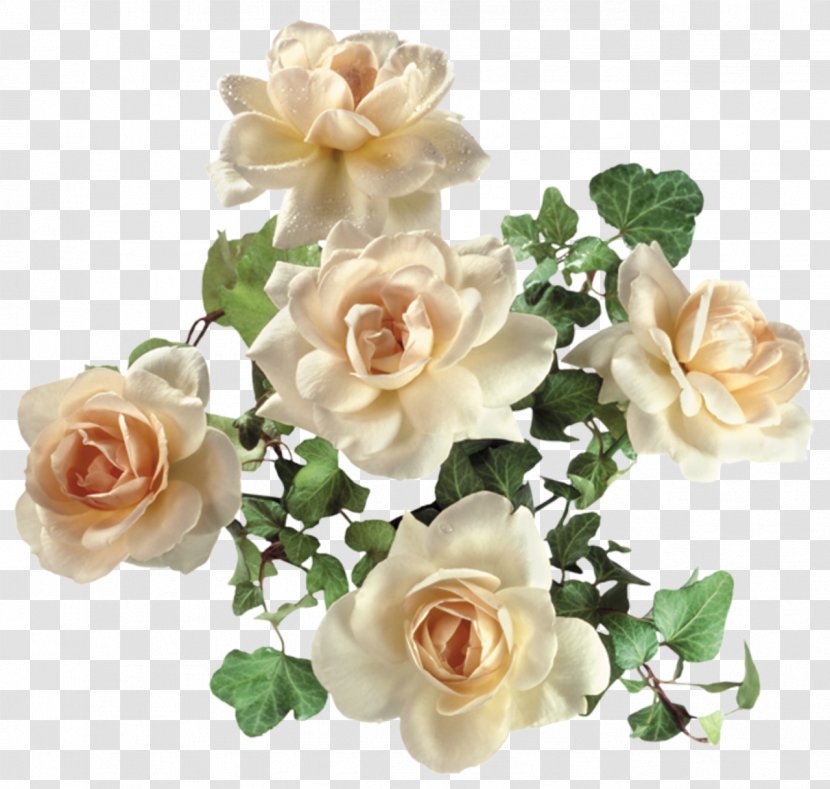Garden Roses Flower Clip Art - Computer Software - Yellow Rose Transparent PNG