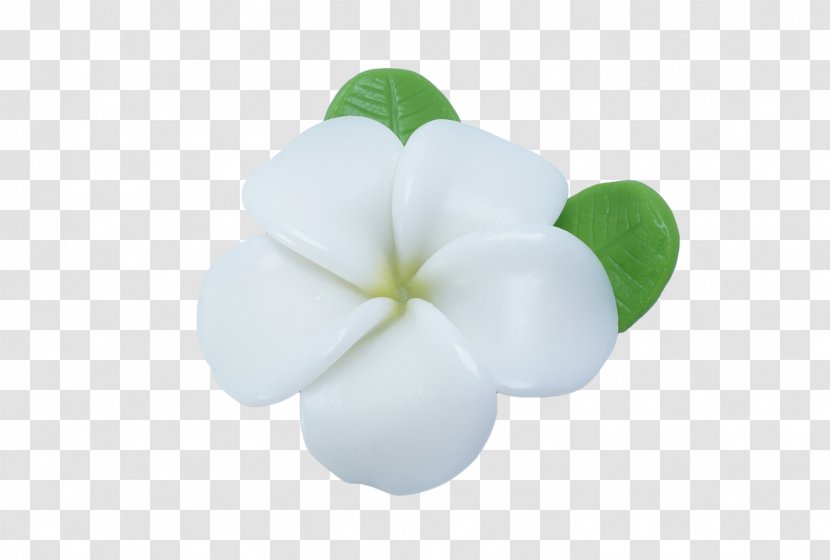 Leaf - Frangipani Watercolor Transparent PNG