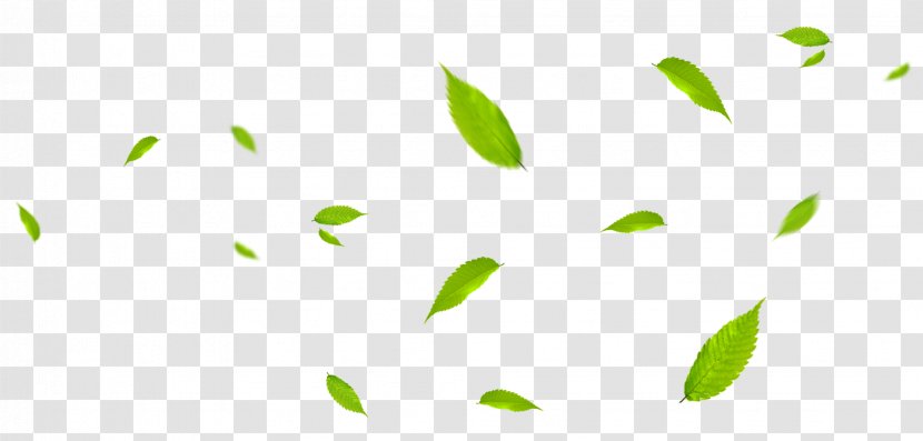Leaf Green - Yellow - Leaves Fly With The Wind Transparent PNG