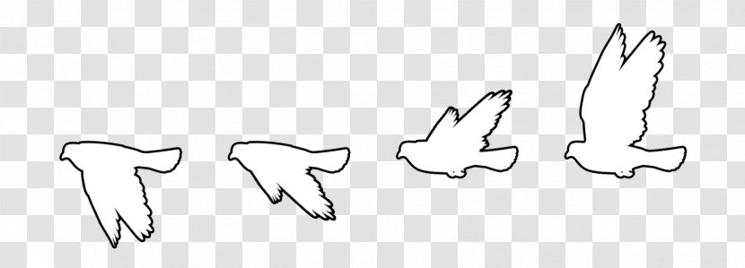 Bird Flight Columbidae Clip Art - Tree - White Movement Transparent PNG