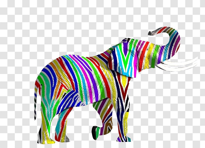 Elephant Rainbow Illustration Transparent PNG