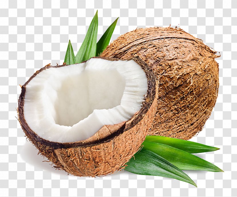 Palm Tree - Wicker - Coconut Milk Transparent PNG